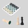 Portable Plastic Chess & Checkers Set