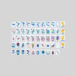 Acrylic Mahjong Set - Custom Malaysia Japanese Blank Tiles