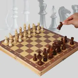 Dericsson Magnetic Folding Chess Board - Adult Kids Gift