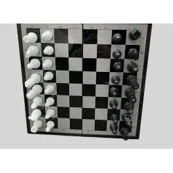 Magnetic Folding Chess Game - ACTION TM07-1