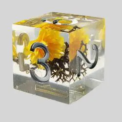 DND Resin Dice Set - 7Pcs Polyhedral Dice with Case
