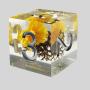 DND Resin Dice Set - 7Pcs Polyhedral Dice with Case