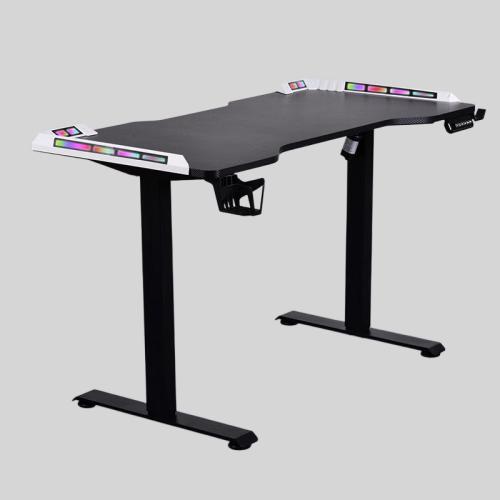 Adjustable Gaming Desk - Ergonomic Standing Table
