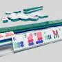 Custom Hand Painted Riichi Mahjong Tiles - Acrylic Game Set Custom Hand Painted Riichi Mahjong Tiles - Acrylic Game Set