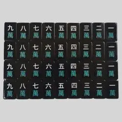 Portable Mahjong Tiles Set - 160pcs Acrylic Game
