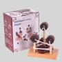 Intelligent Loop Puzzle Wood Brain Game Toy