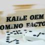 Double 6 Domino Set - Wholesale, Custom Logo, Wooden Box