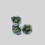 Custom D&D Resin Dice Set - Dragon Eye Polyhedral Dice