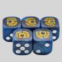 Customized Marbled Dice Set - Acrylic Resin D6