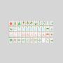 Colorful Custom Acrylic Mahjong Game Set