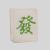 Green Mahjong Piggy Bank