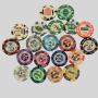 Custom Logo Poker Chips - 14g Clay Casino Chips