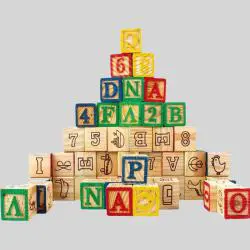 Commiki Wooden ABC Blocks - 48 Pcs Stacking Toys
