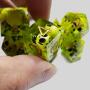 Resin Dice Set - 7 Pcs Transparent Square DND RPG Dice