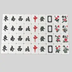 Mahjong Set - 156 Tiles, Malaysia/Singapore, Blue or Green