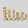Wooden Magnetic Chess for Kids - HAIWEGO Educational Toy