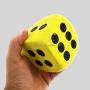Custom Colorful EVA Dice Set - 6 Sided Game Dice
