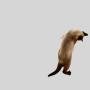 Kraft Paper Cat Scratcher - Wall Mounted, Durable
