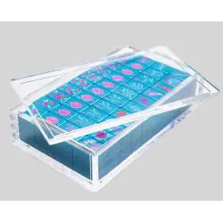 Acrylic Mahjong Set Display – Transparent Tray by D&D