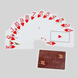 AYPC Custom Poker Cards - Waterproof PVC Playing Cards
