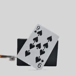 Customized Logo PVC Playing Cards - Luxury, Waterproof, Free Sample
