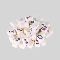 Chinese Traditional Family Mahjong Travel Game - BORN GOOD