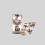 Custom Resin Polyhedral Dice - D&D Animal Dice