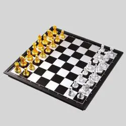 Medieval Magnetic Chess Set - Portable Travel Game for Adults & Kids