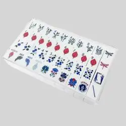 Custom Acrylic Mahjong Set - 160pcs Lucite Casino Tiles