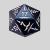 D20