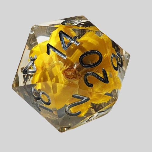 DND Resin Dice Set - 7Pcs Polyhedral Dice with Case