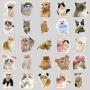 Cute Animal Cat Stickers - 100 Pcs Waterproof Decals