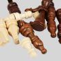 Classic Wooden Chess Board - Portable Travel Set