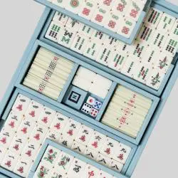 Luxury Mahjong Set Game Box, Chinese Family Party Chess Case OJR