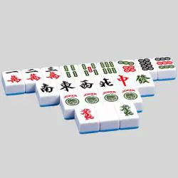 174PC Magnetic Mahjong Tiles - Acrylic/Melamine