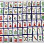 Vintage Enrobed Mahjong Tiles – Luxury Acrylic Set