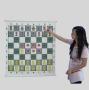 Chess Demo Board Set - CNCHESS DD01 (Black, Red, Blue, Green)